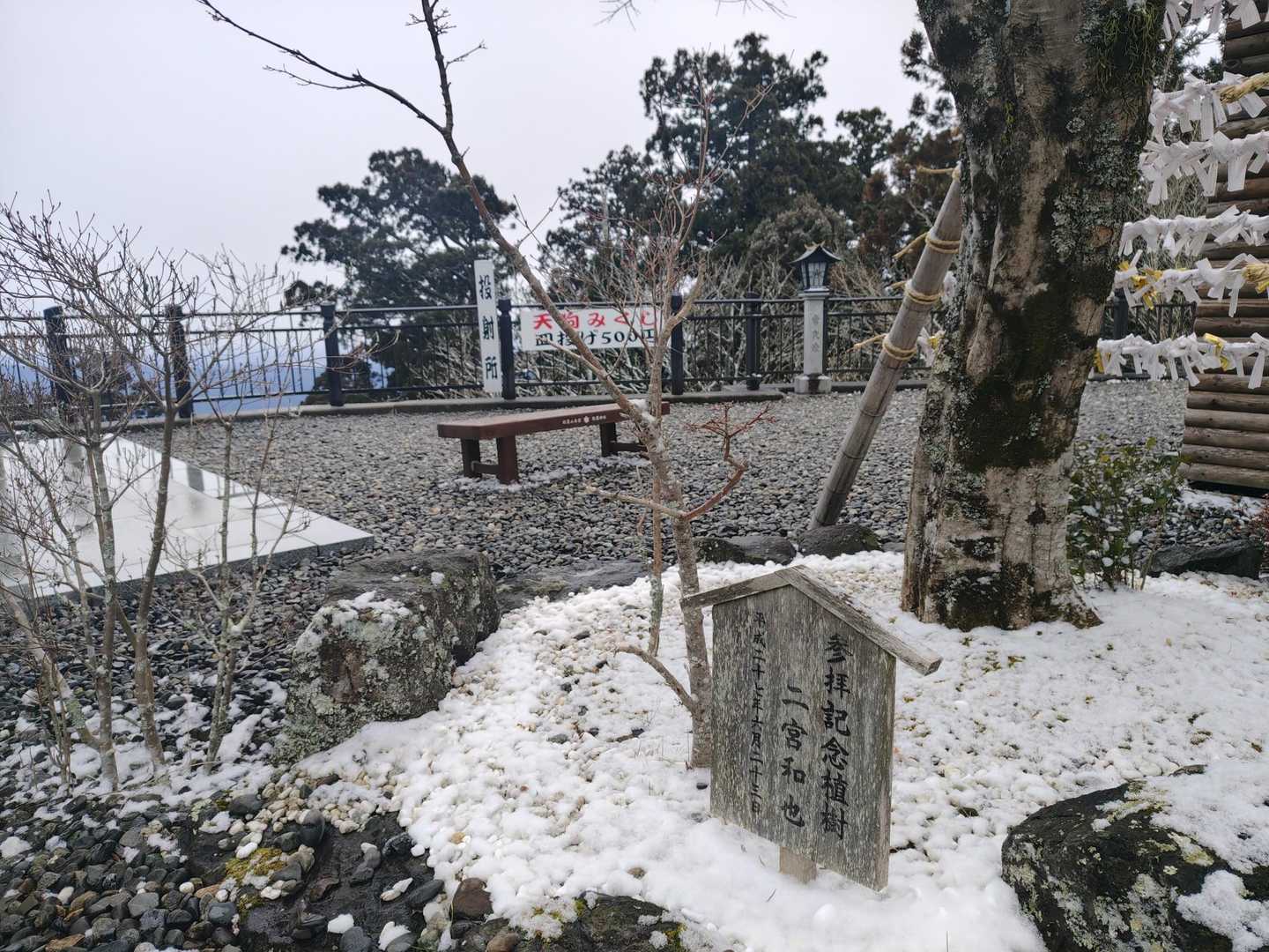 こちらは桜の木🌸
咲いたら綺麗だろうね！