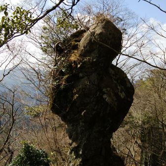 平澤清孝　東京　福岡