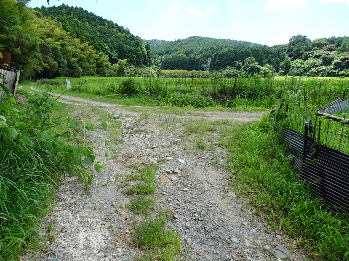 次はここを右へ〜
ここにも案内板ナシです😞