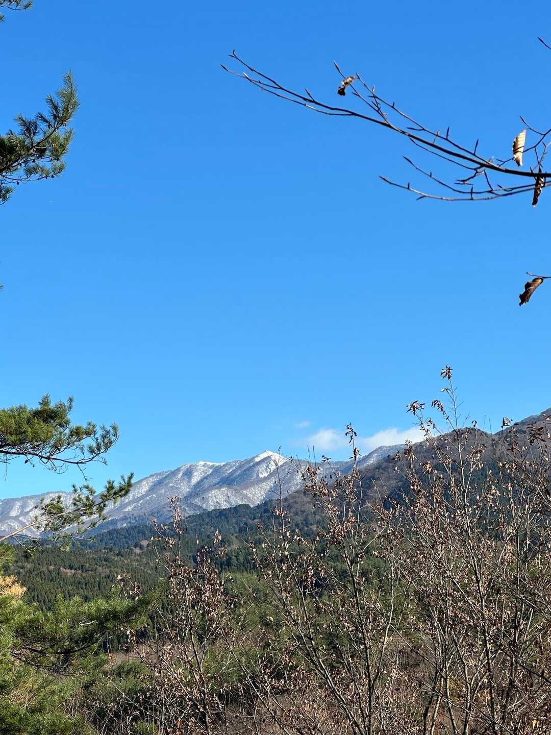 妙見山 周回コースの写真