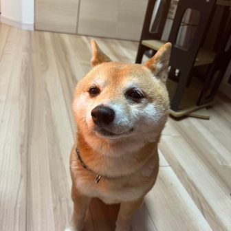kazu