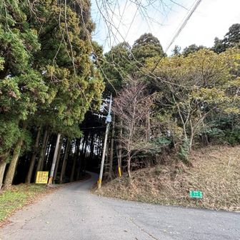 駐車場から舗装道路をテクテク歩き。

