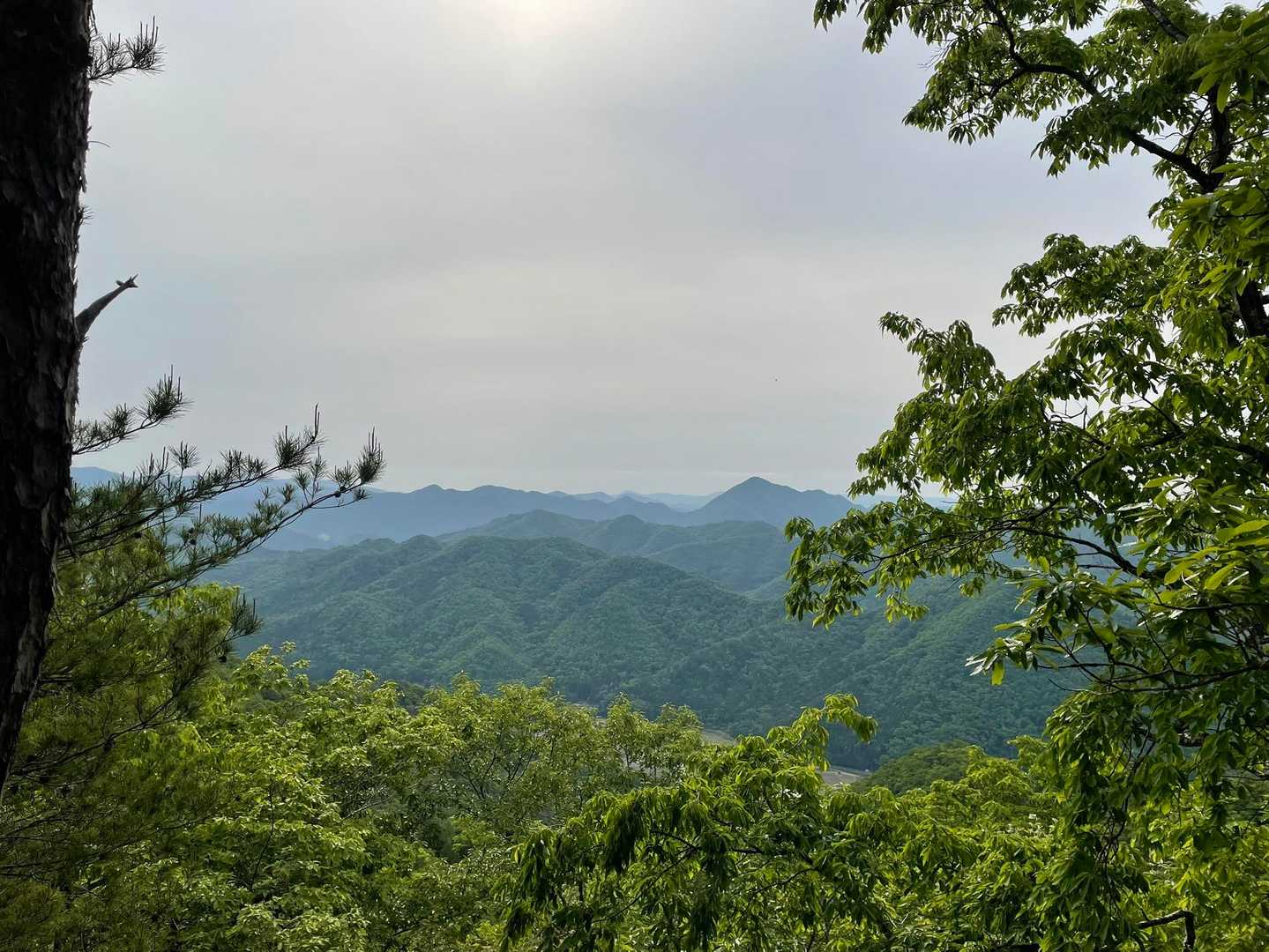 北千丈寺山-千丈寺山 往復コースの写真