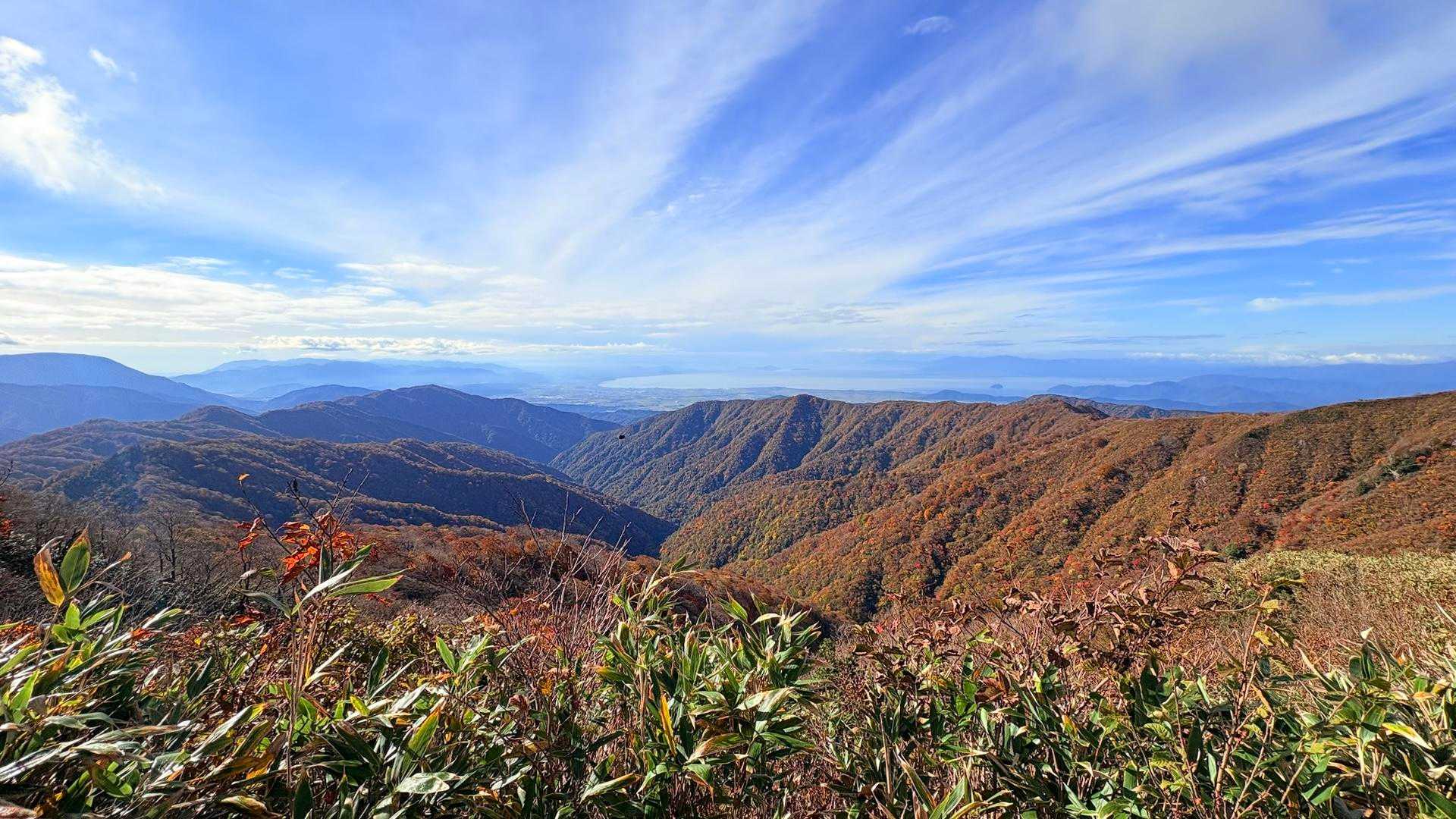 金糞岳-白倉岳 往復コースの写真