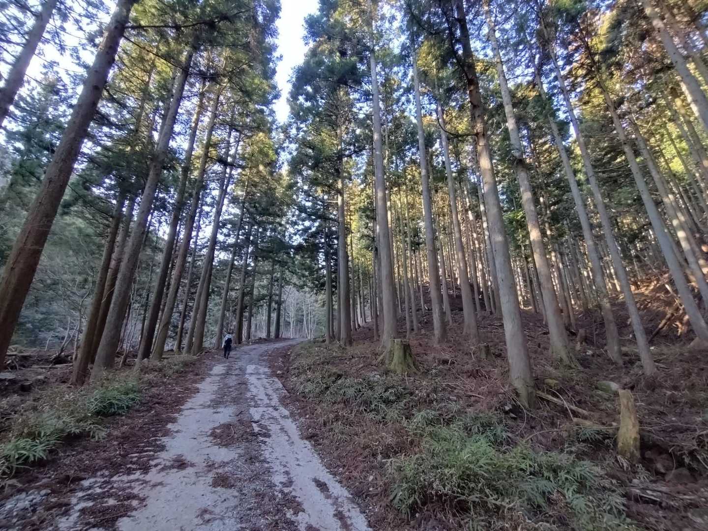 わくわく感いっぱいです😄