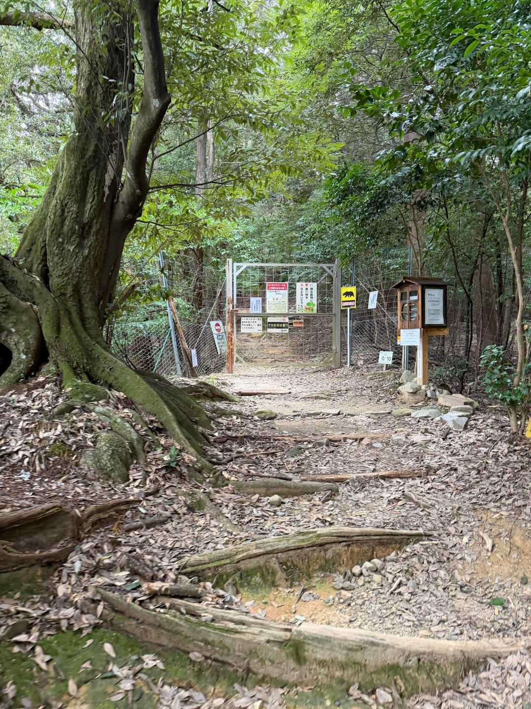 さてさて…

1ヶ月ぶりの
両山ウォークイベント🚶
２座目の🤗
南宮山⛰️