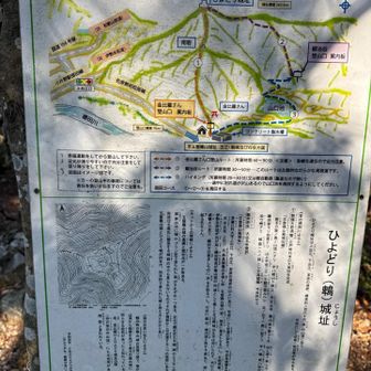 ひよどり城址に着きました！