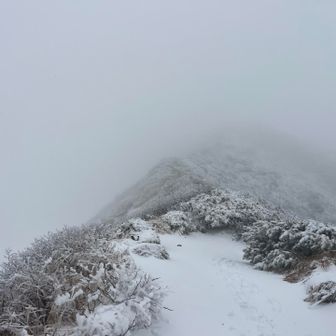 途中写真撮らず
8合目すぎたら雪景色❄️