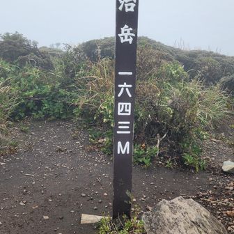 真っ白