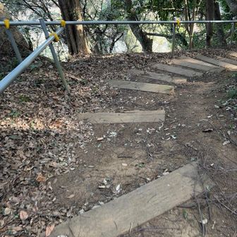 下山します
こちらは階段に手摺り