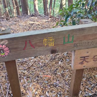 八幡山(新規ピーク)
もうね、中途なんよ(笑)