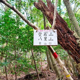 この時点で足ガクガクだったけど愛宕山ピーク取りに粘って登る