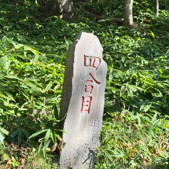 本当の地獄は、ここから始まる😰😰😰