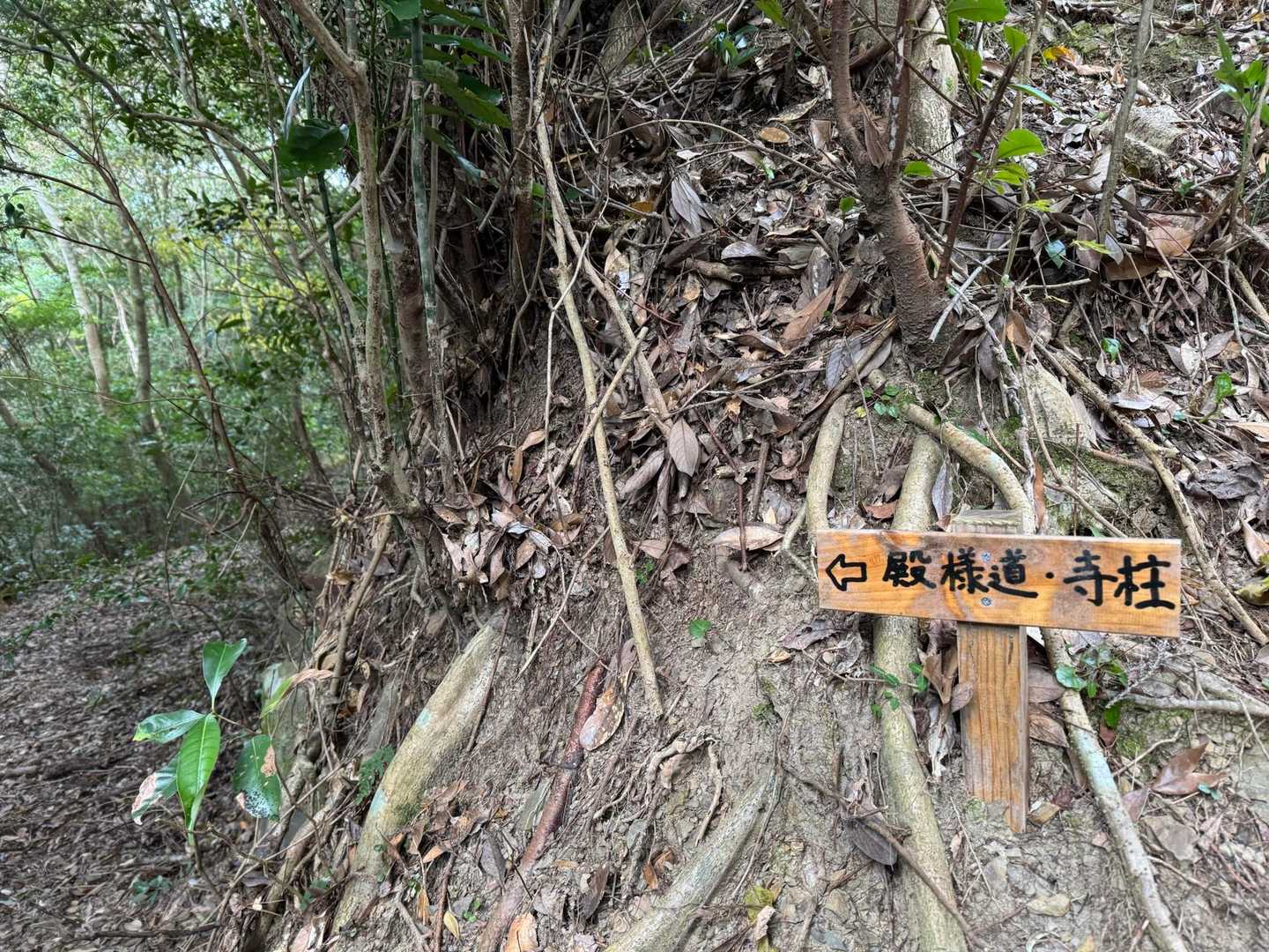牛の峠登口近くにある殿様道