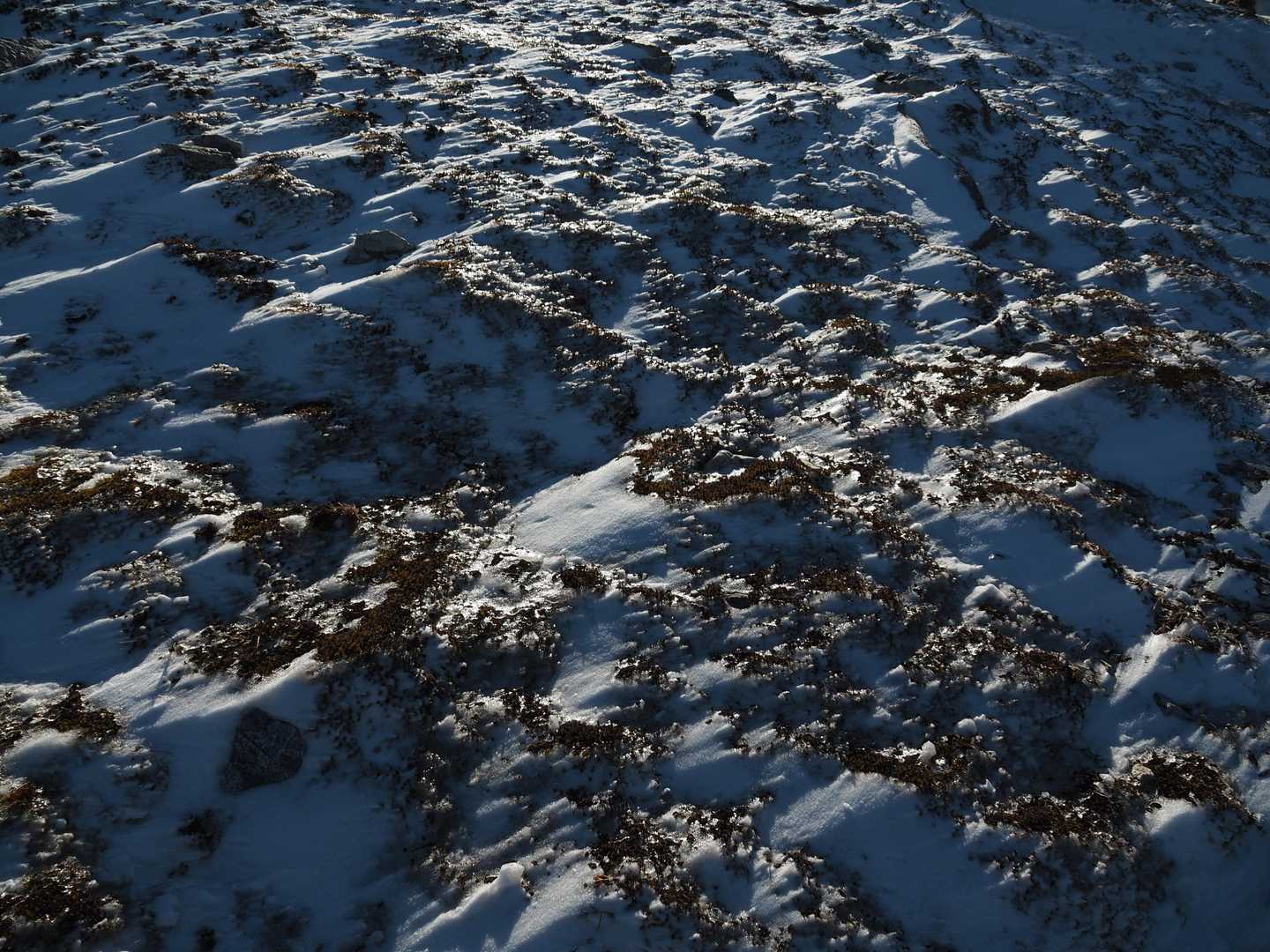 桧塚-桧塚奥峰 往復コースの写真