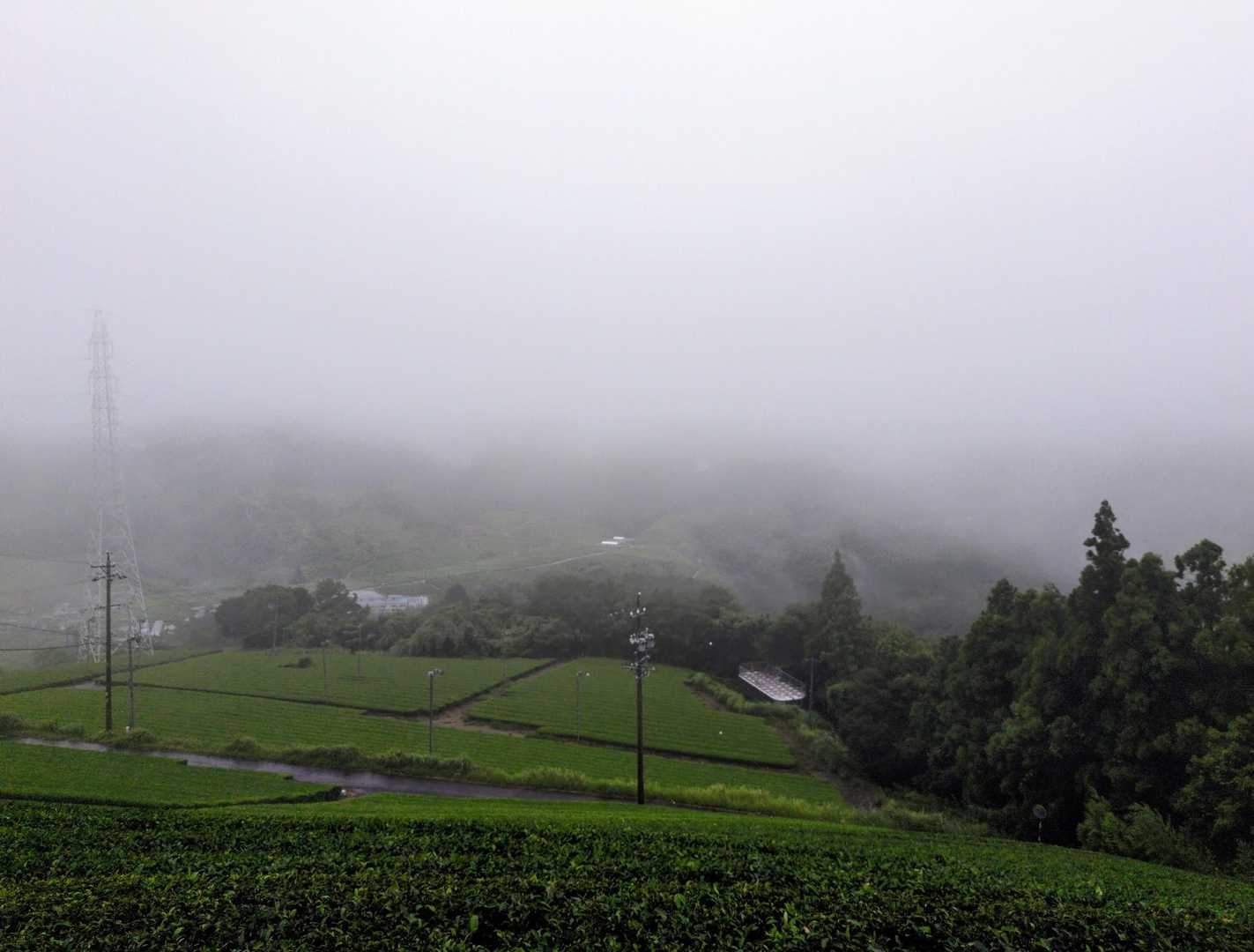 雨☔