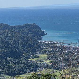 陸地の周りは海の色が違う