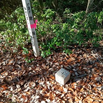 
三角点 ▲  254.9 m を 通過します
城ヶ峰 を目指します
