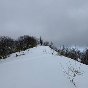 はい、稜線
低山とは言えども、爆風の中一人ラッセルは寂しいやら怖いやら…