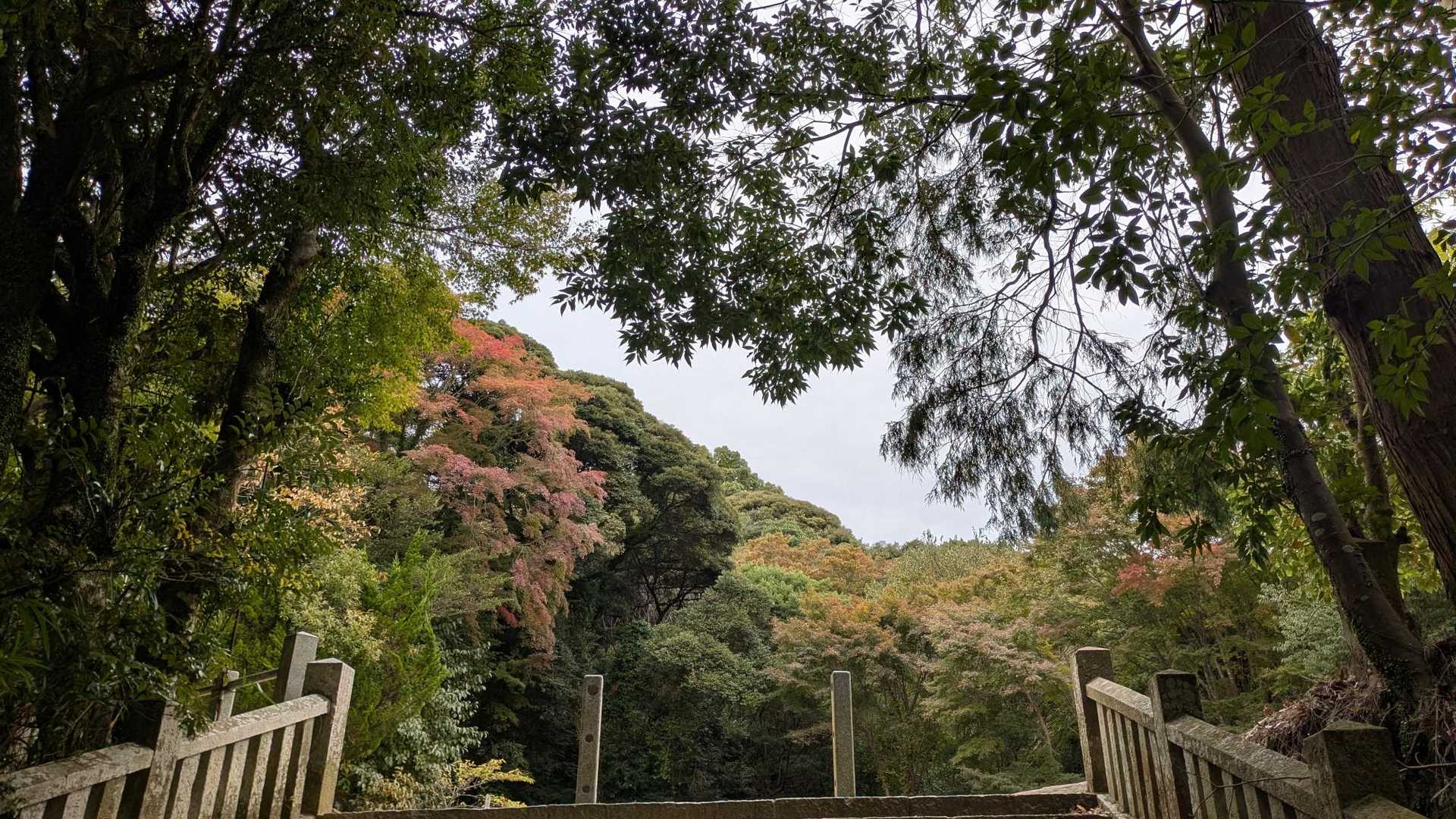 大龍寺前