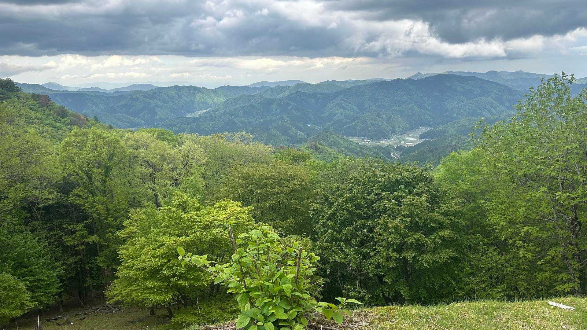 北に向かいの君尾山を眺めます