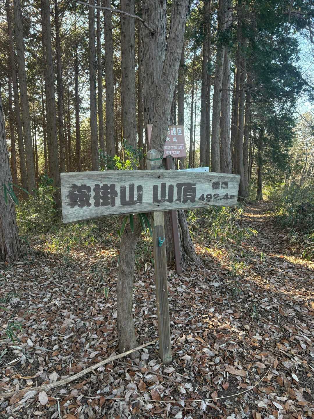鞍掛山頂　492m