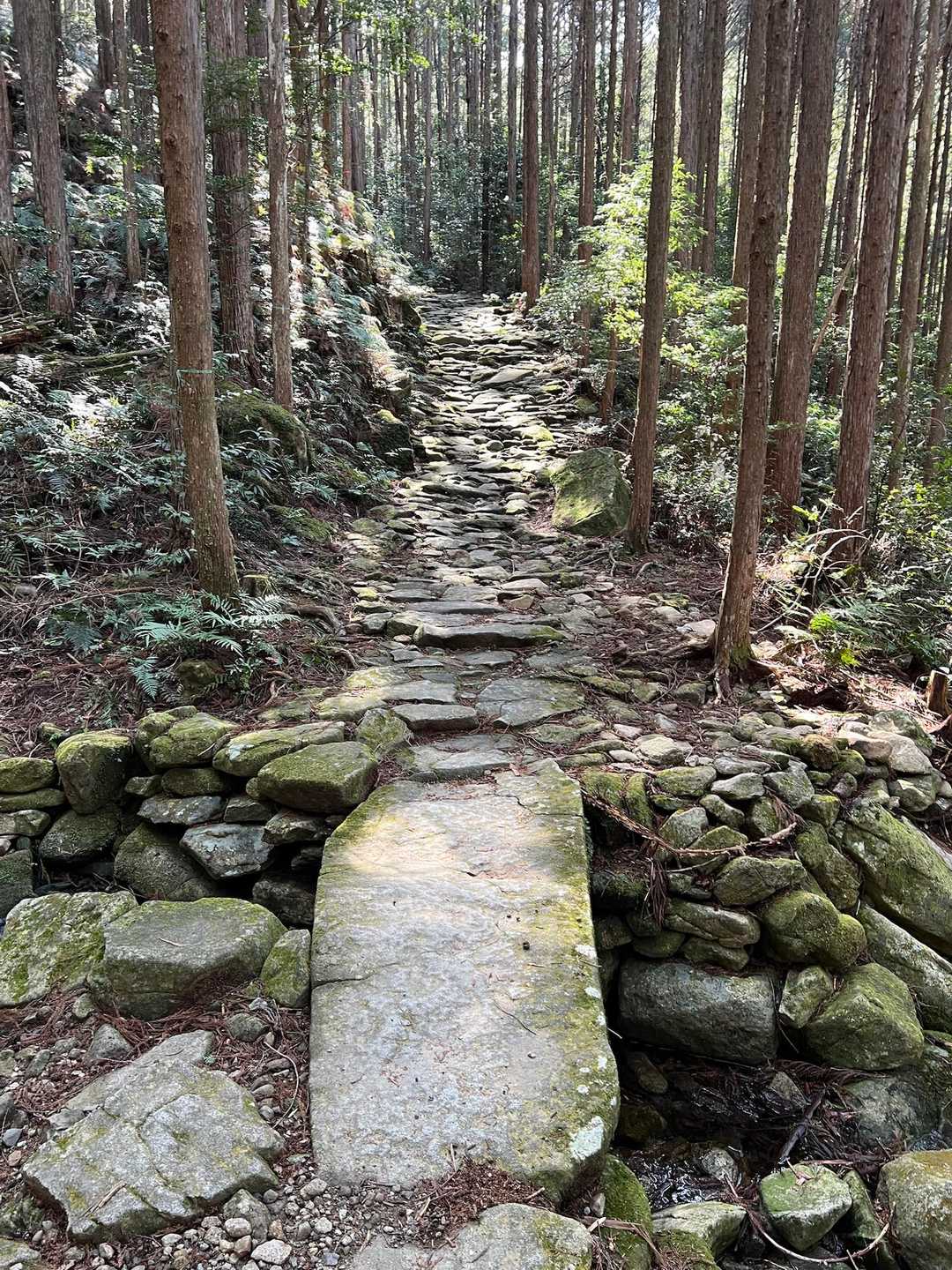 ずっと続く石畳み