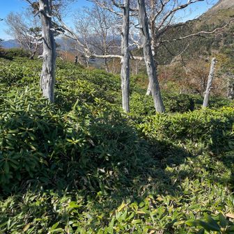 進行方向