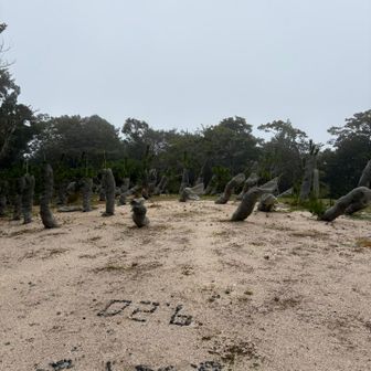 前山山頂、昨日作られた地上絵