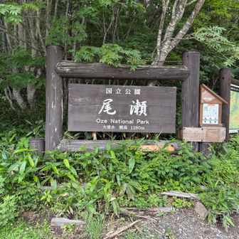 大清水にとうちゃこ٩( 'ω' )و