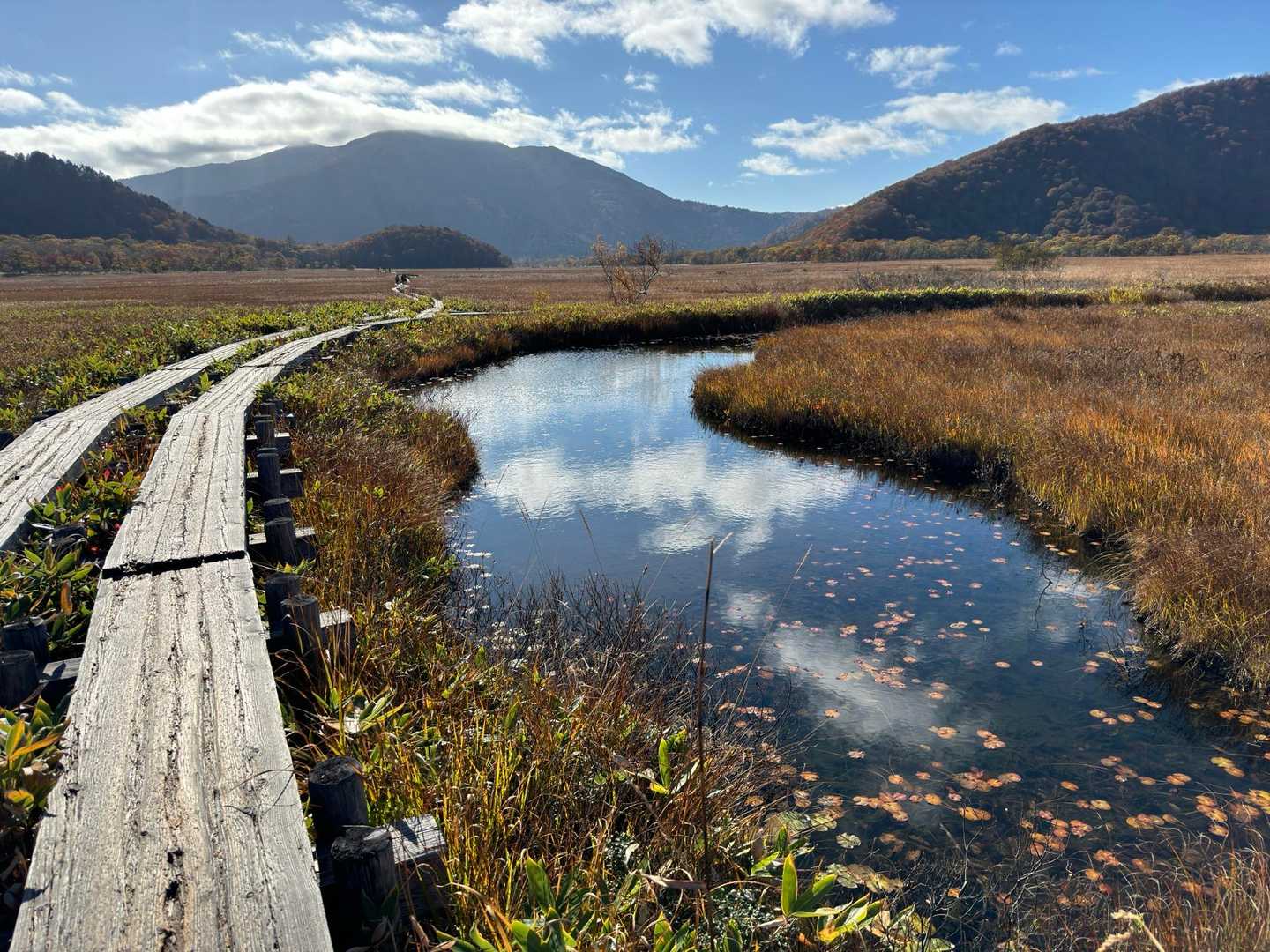鳩待峠-横田代-中原山-アヤメ平 周回コースの写真