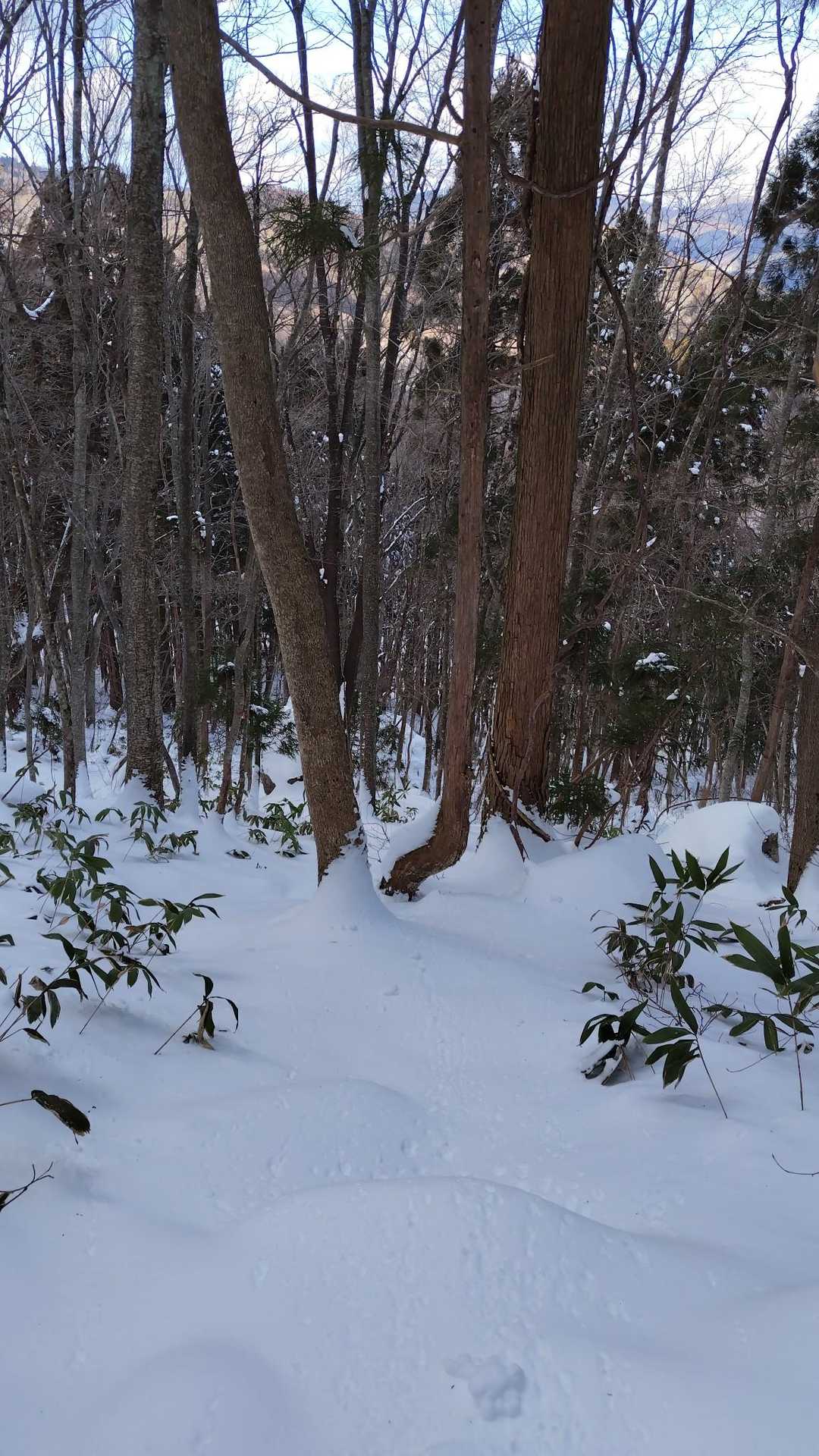 クルソン仏岩からの下りは急でした。こけて雪まみれになりました。