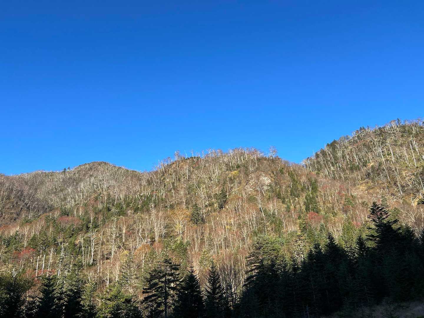この山、前日向こう側から見えてた。