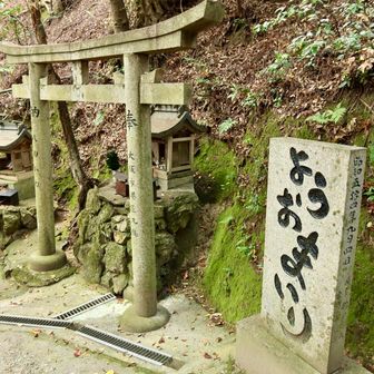よく見るやつ
字体が可愛い