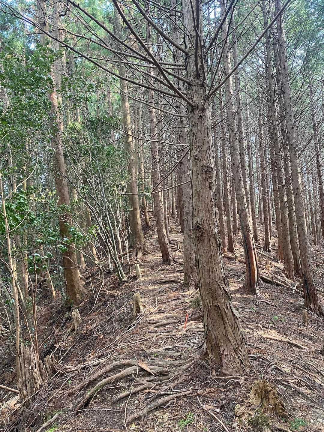 なんかイイやないかい🫶🏻