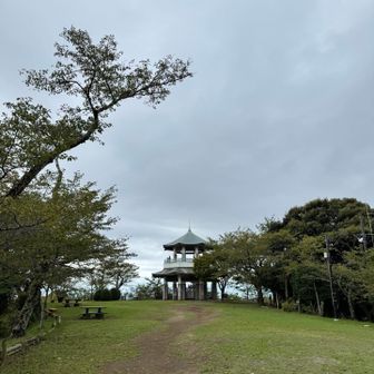 晴れす様に☀️
