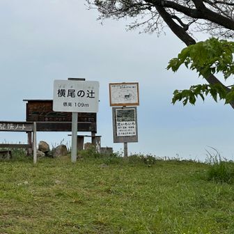 ふりがなは、「よこぼのつじ」と書いてありました。