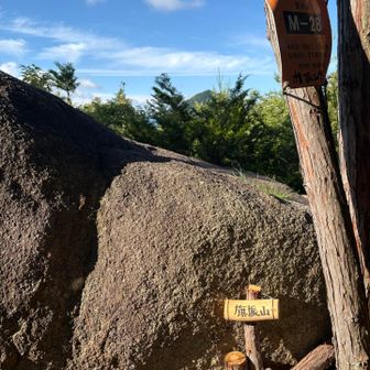 最後のピークの旗振山⛰️
道路を通勤してる時に🌴みたいなのが見えてたのが多分ここじゃ無いかと思ってたけどここじゃ無さそう❓
とりあえず時間が無いからサッサと進む🏃‍➡️

この後も墓地に出てまたルート間違えて戻ったらまたそっちも違ってまた戻ってと焦ってホテルへ戻ったけど無事に間に合った✌️
