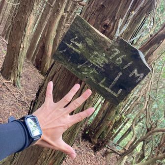 ベンケイ登頂⛰️