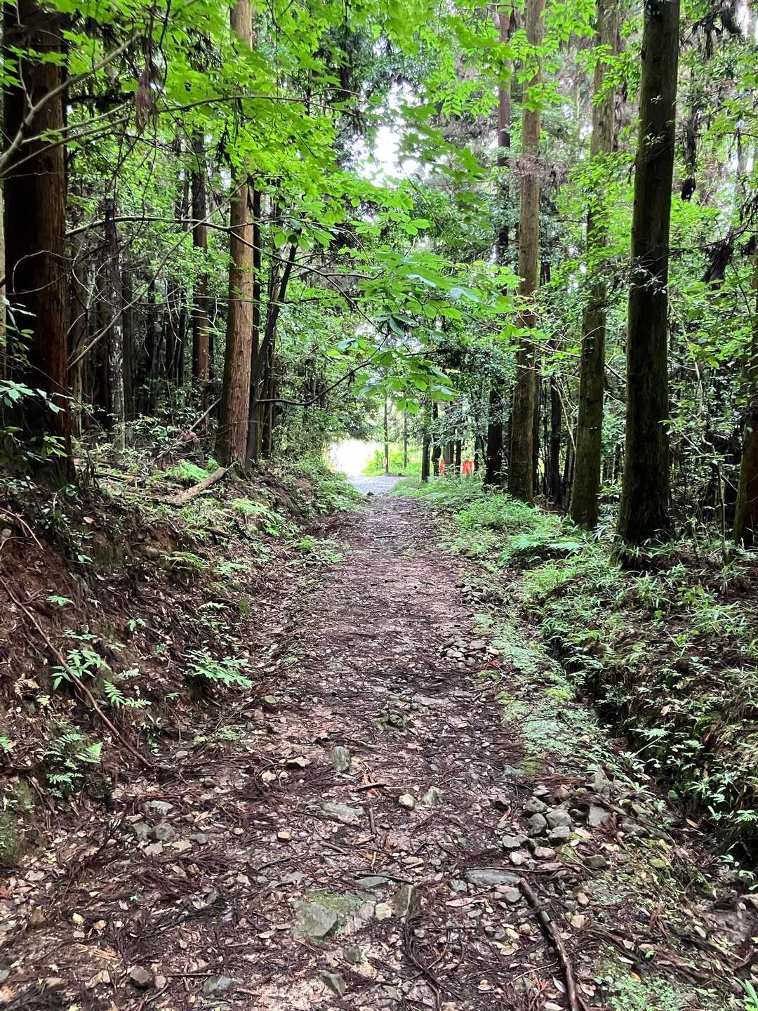 明るくなってきました。
登山口まで下りてきたようです😊