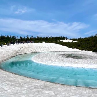 やまとさけ(ジロ)