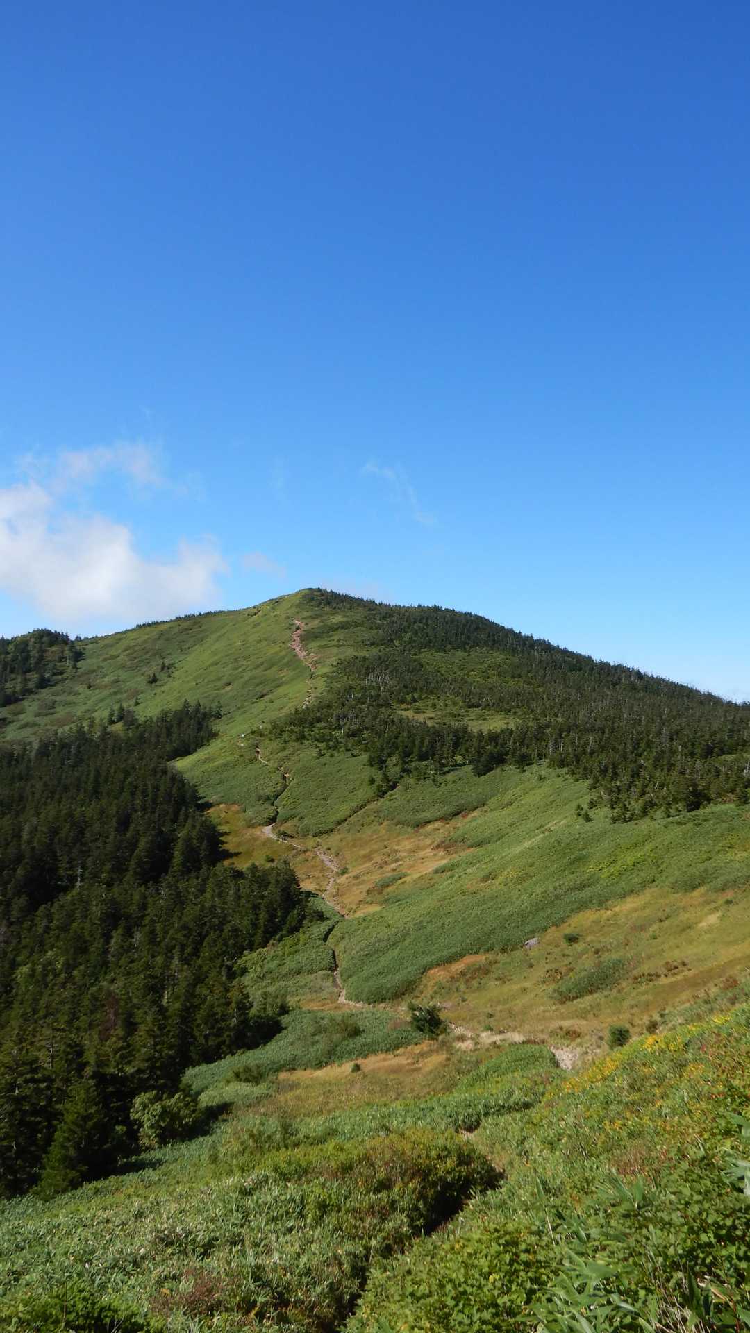 西大巓と西吾妻山の鞍部から歩いて来た道を振り返ります🎵