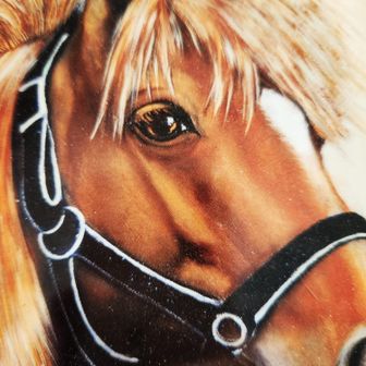 ハーバーリバー