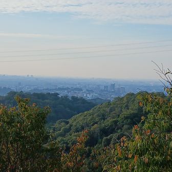 岡崎市街方面。霞んではいるけど、遠くまで良く見える。