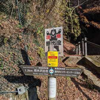 冬ぐらいは休んでいてほしい🐻