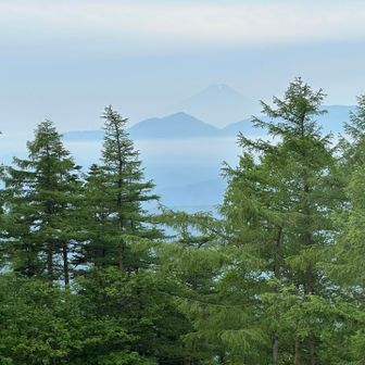 うっすら富士山も見えました🗻