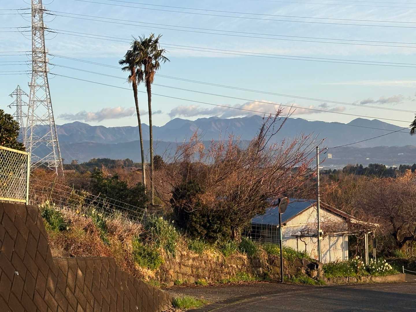 丹沢素敵😍