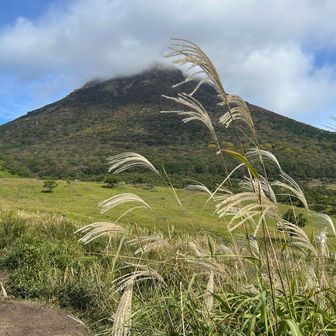 登山口から麓まではなだらかな笹道を