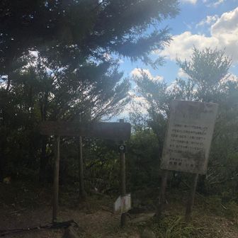 山頂下の標柱