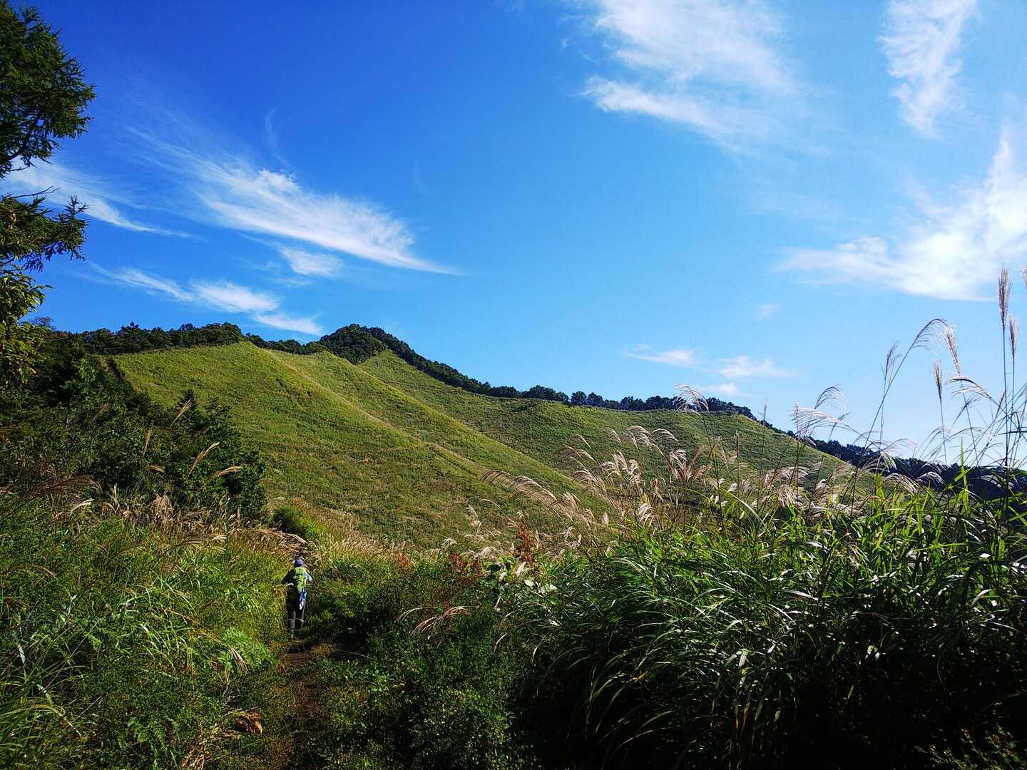 高座山の写真